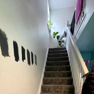 hallway with white wall and plant pot