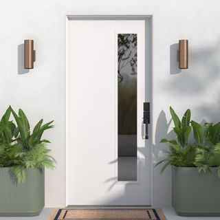 White front door with glass frame