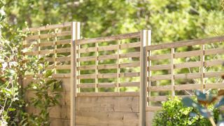 contemporary wooden fence with trellis