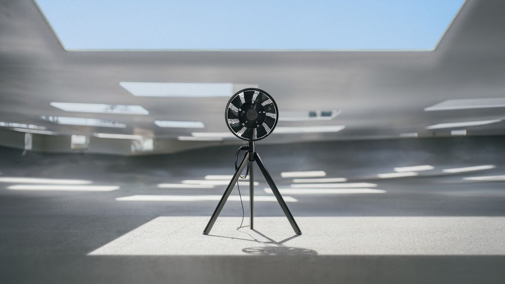 fan