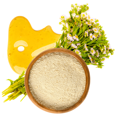 camomile, Plant, Seasoning, Flower, Food, Superfood, Herb, Leaf vegetable, Ingredient,