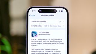 iOS 18.2 on iPhone