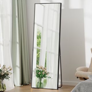 EDX Full Length Mirror