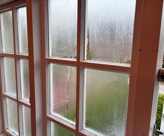 single glazed multi paned window with condensation