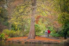 The Garden at Dunham Massey. Credit: National Trust