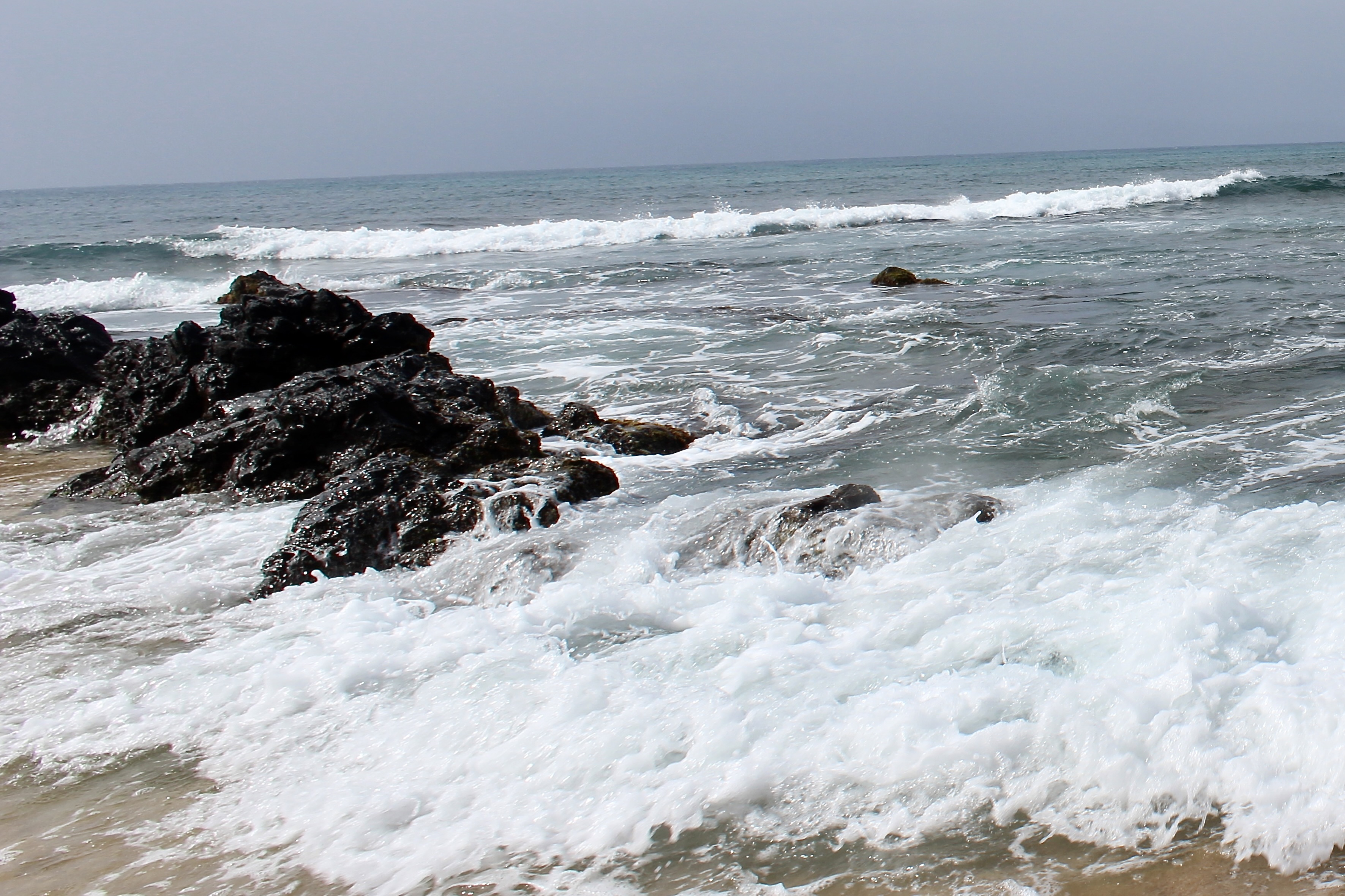 GuruShots - Nature&rsquo;s Masterpiece 2026