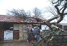 wind-damage1.jpg