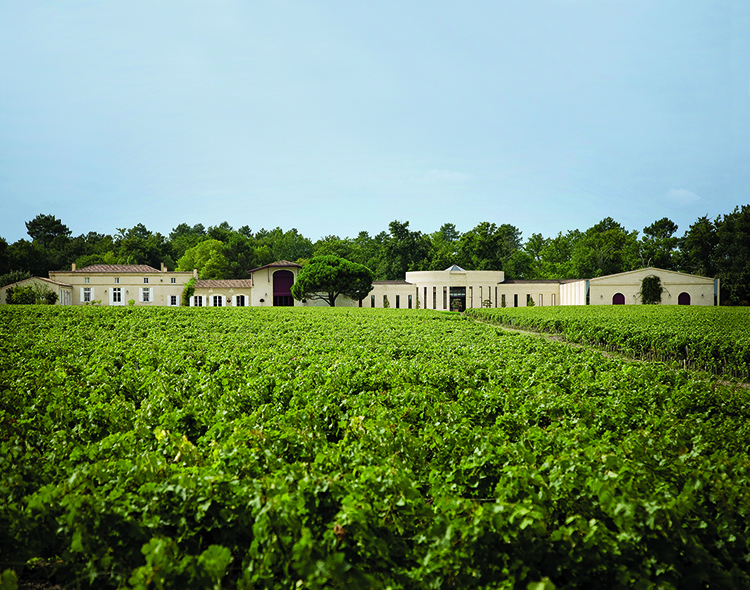 Domaine-de-Chevalier-image.jpg