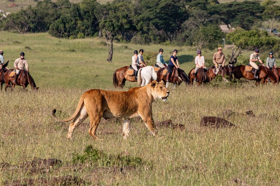 African Horse Safaris