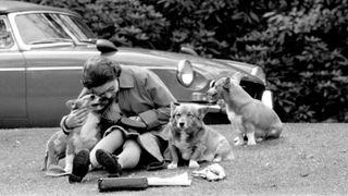 A young Queen with her corgis