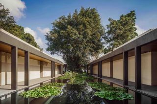 Outside pond with view of trees at the end