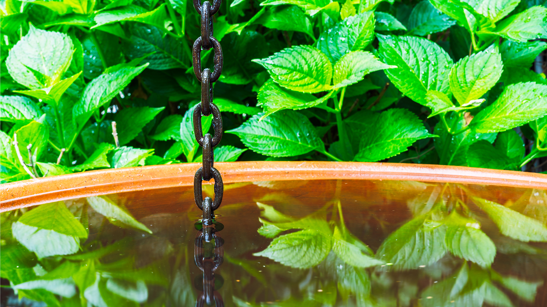 Close up image of a metal rain chain in a water tank