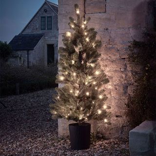 Outdoor Christmas lighting ideas with outdoor potted tree