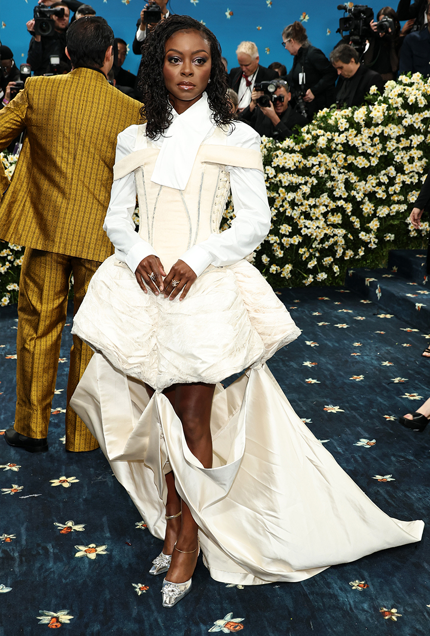 Met Gala 2025 red carpet