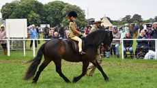 DSC_2103.jpg
