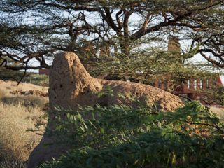 SLAK campus by Francis Kere in Kenya behind termite mound
