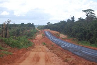 Road in Amazon Rain Forest