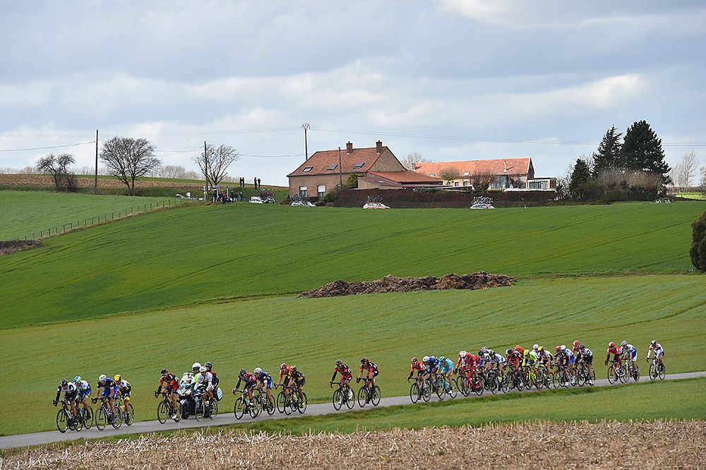 Green scenery at Gent-Wevelgem