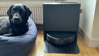 iRobot Roomba Combo 10 Max in its dock, in reviewer's home, next to a dog in its bed