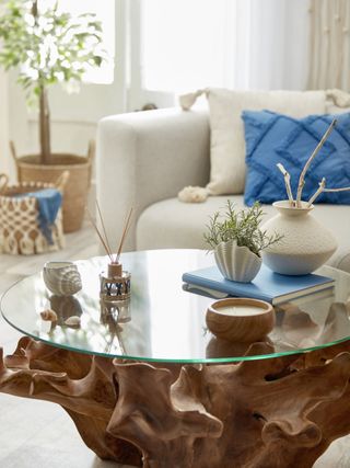 coastal inspired coffee table. The base is wood but looks like coral and it has a circular round glass on top and shell trinkets