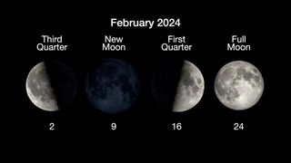moon phases for February 2024 are third quarter feb 2, new moon on feb 9, first quarter on feb 16 and full moon on feb 24.