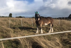 Hovis&rsquo; Friday diary