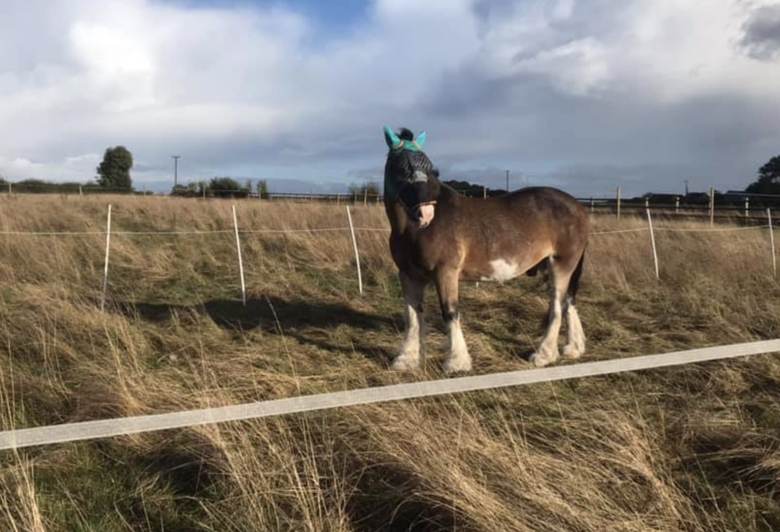 Hovis&rsquo; Friday diary
