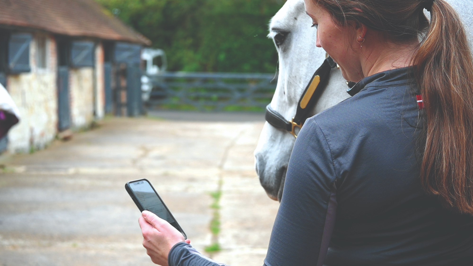woman holding a grey horse using a phone