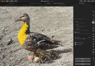 Quick Select is swift and fairly accurate in distinguishing between foreground and background.
