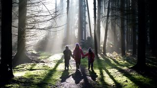 walking through woods