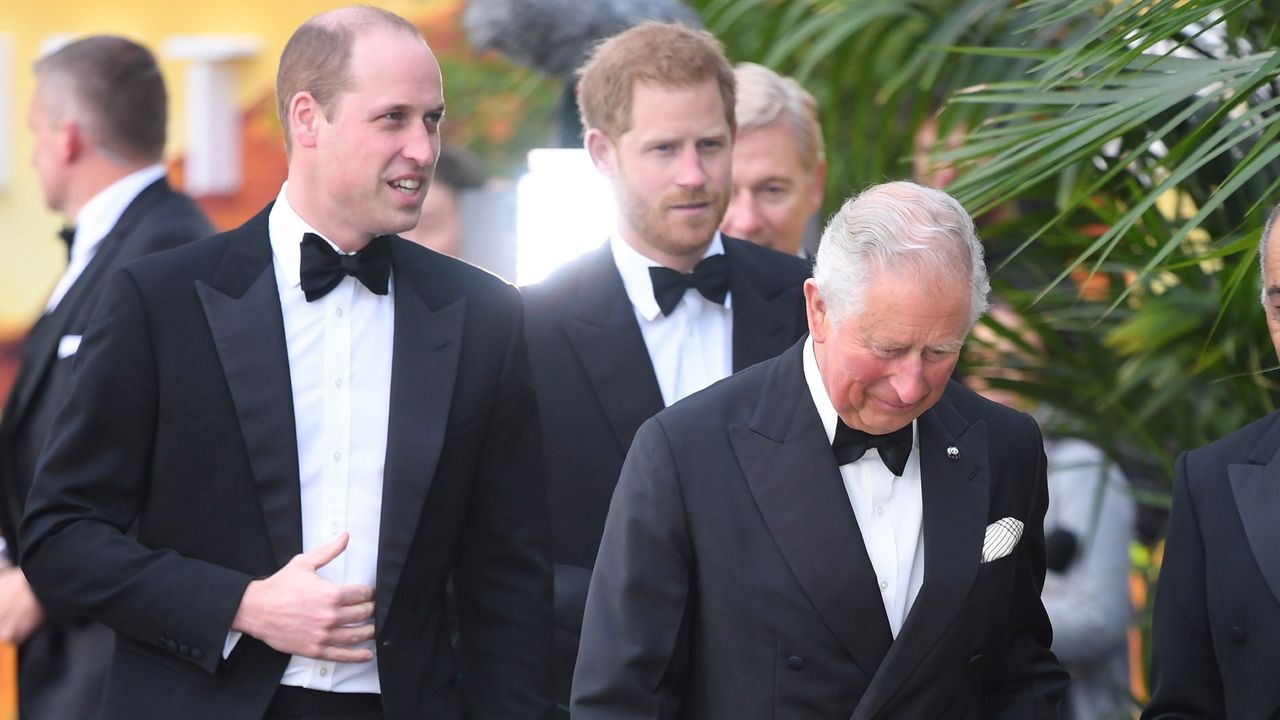 Prince Harry, Prince William, King Charles