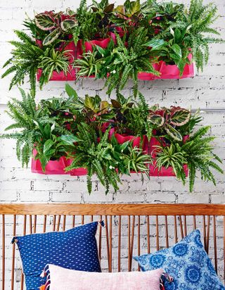 indoor plant ideas: pink planters on wall