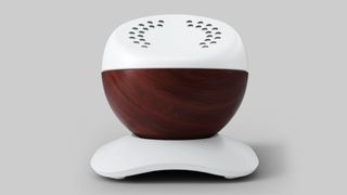 Core Meditation ball