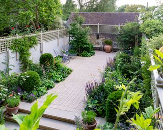 evergreen structural planting in a garden design by Butter Wakefield