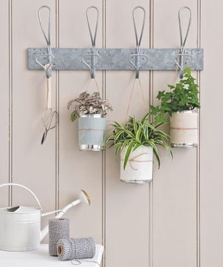 trio of indoor plants in small pots hanging on wall