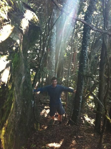Incredible hiking opportunities also in Hogsback.