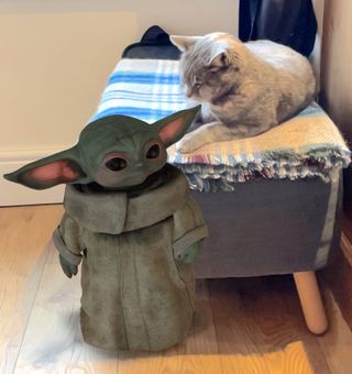 Baby Yoda AR