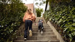 Woman walking with dog on a leash up a set of stairs