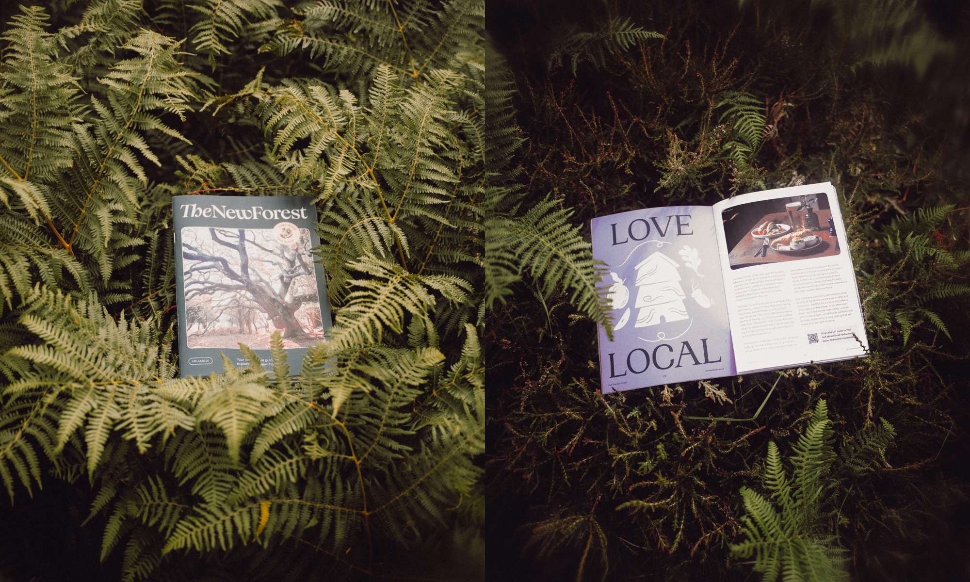 The New Forest branding