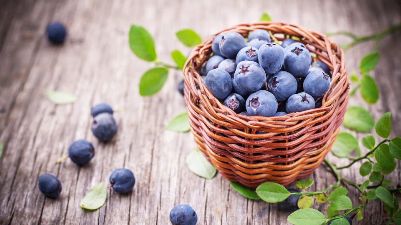 Blueberries in basket