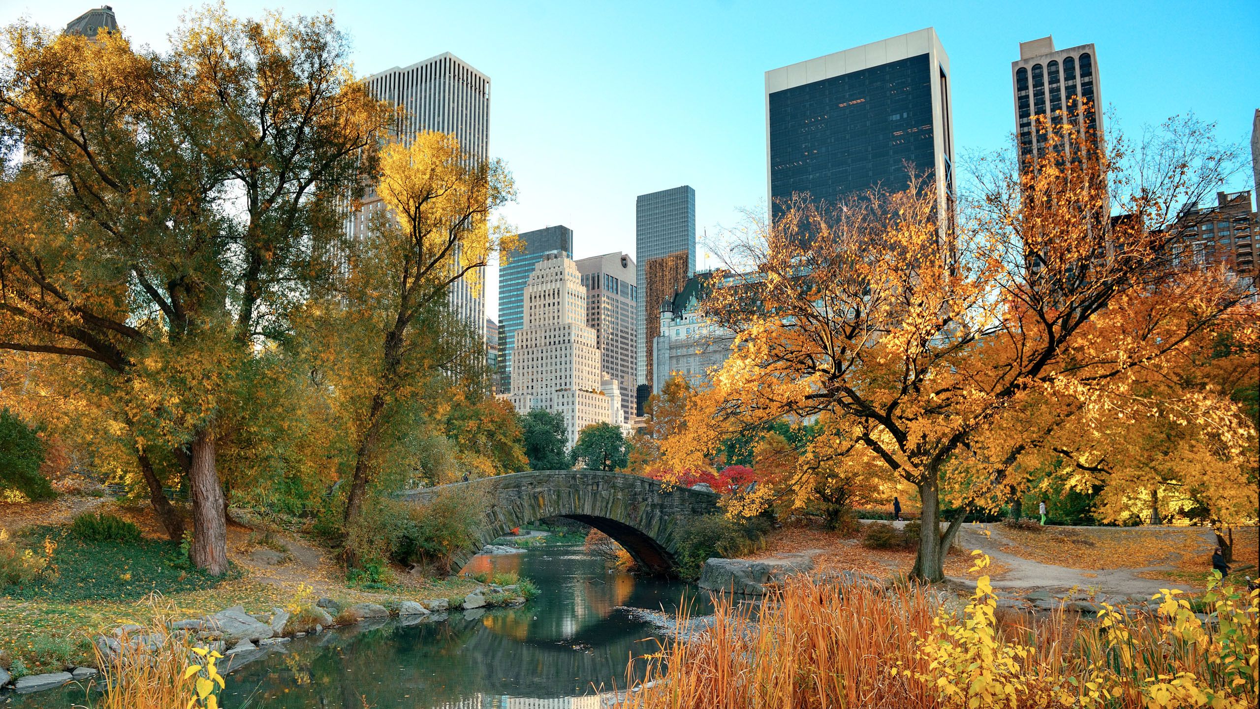 Writer Details ChatGPT NYC Weekend Itinerary on $100 Budget