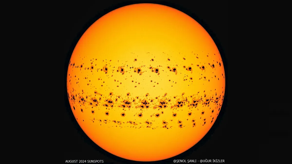 an orange orb covered in two bands of black dots of various sizes