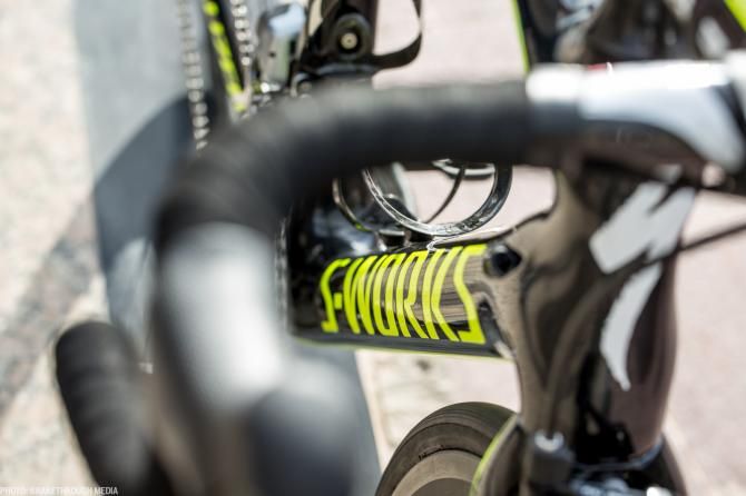 The yellow Specialized logo on the downtube