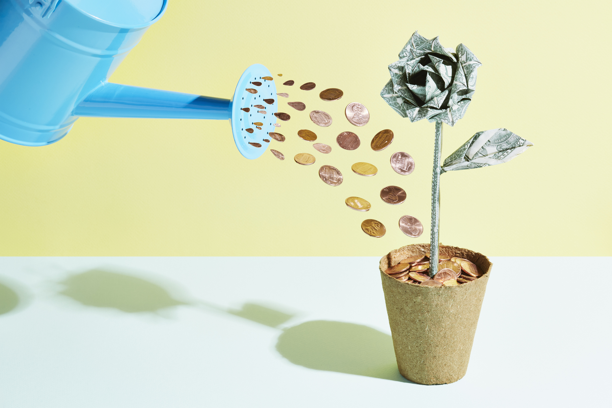 Origami dollar rose being watered with coins