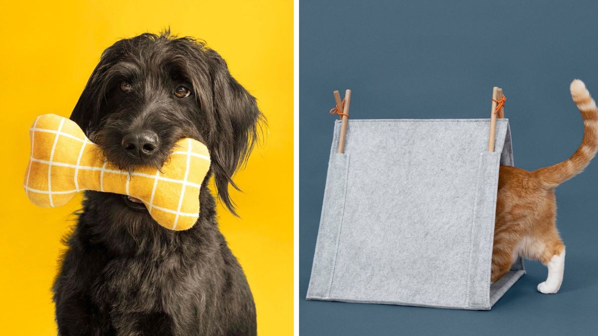 Scope out the new IKEA pet collection