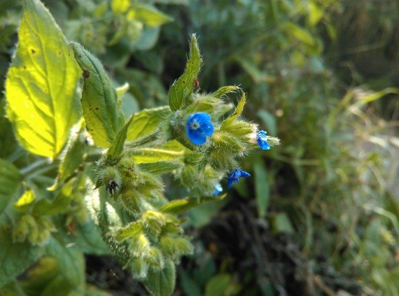 HTC One E8 sample