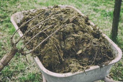 Wheelbarrow Full Of Manure