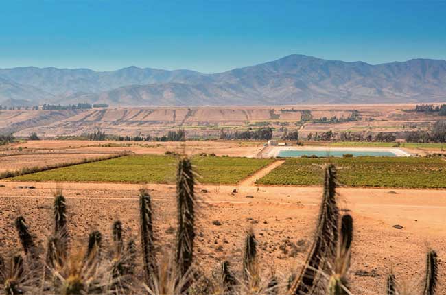 Vi&ntilde;a Ventisquero Tara wines