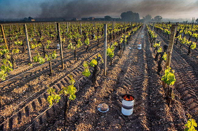 bordeaux 2017 frost