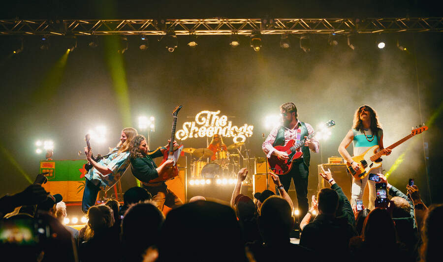 The Sheepdogs onstage